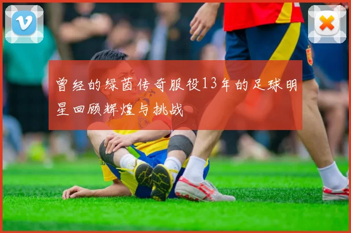 曾经的绿茵传奇服役13年的足球明星回顾辉煌与挑战
