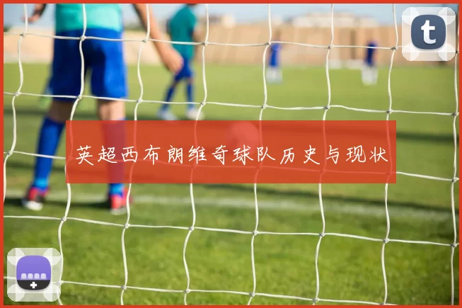 英超西布朗维奇球队历史与现状