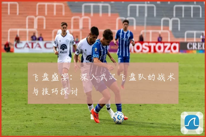 飞盘盛宴：深入武汉飞盘队的战术与技巧探讨