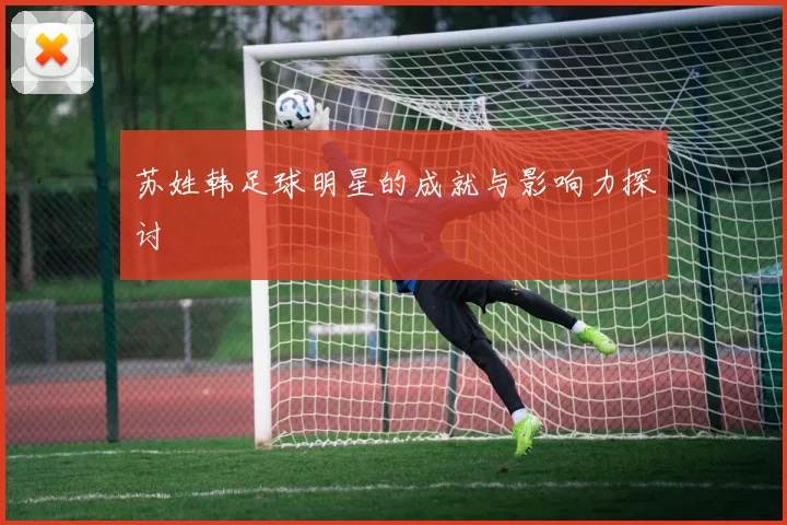 苏姓韩足球明星的成就与影响力探讨