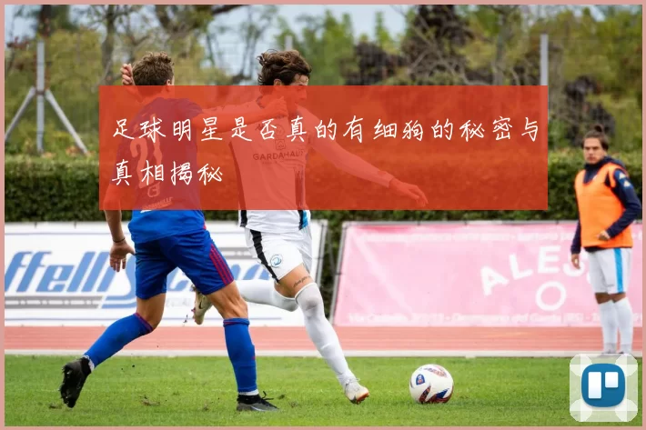 足球明星是否真的有细狗的秘密与真相揭秘