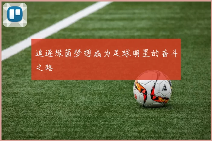 追逐绿茵梦想成为足球明星的奋斗之路
