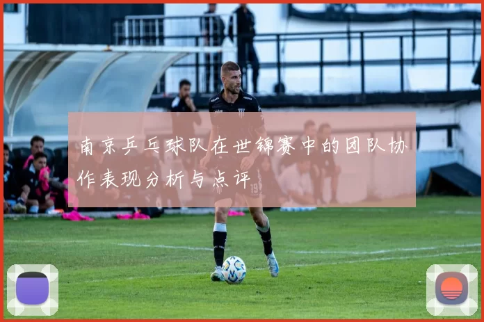 南京乒乓球队在世锦赛中的团队协作表现分析与点评