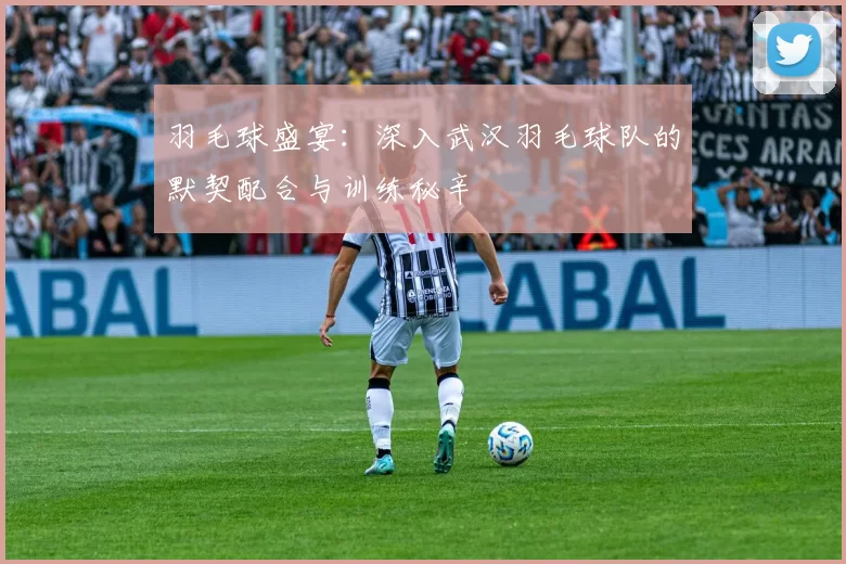 羽毛球盛宴：深入武汉羽毛球队的默契配合与训练秘辛
