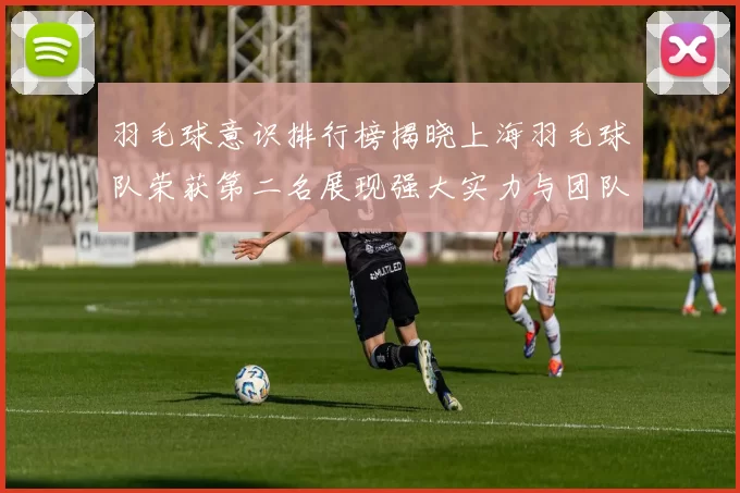 羽毛球意识排行榜揭晓上海羽毛球队荣获第二名展现强大实力与团队合作