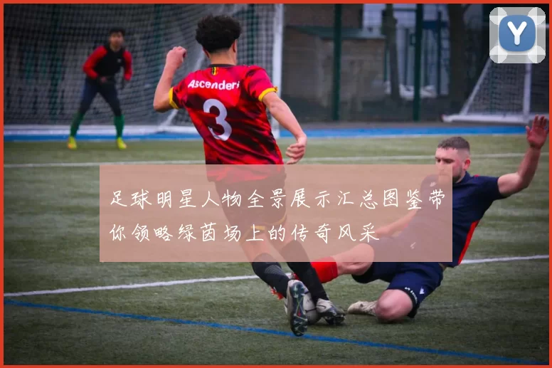 足球明星人物全景展示汇总图鉴带你领略绿茵场上的传奇风采