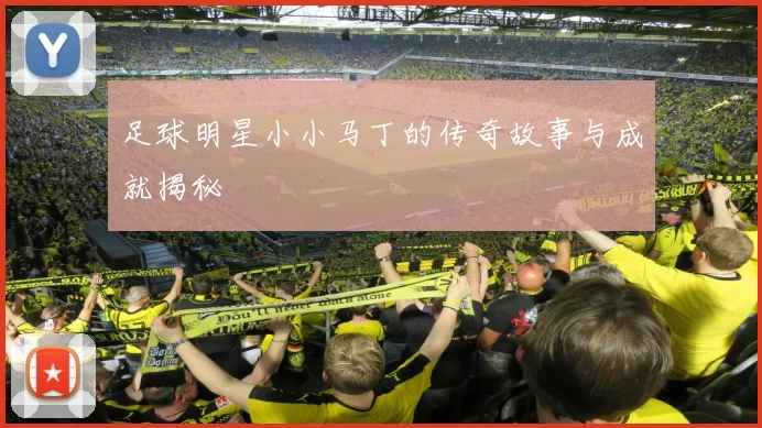 足球明星小小马丁的传奇故事与成就揭秘