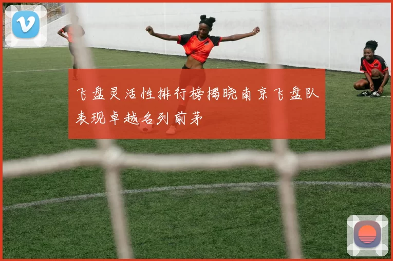 飞盘灵活性排行榜揭晓南京飞盘队表现卓越名列前茅