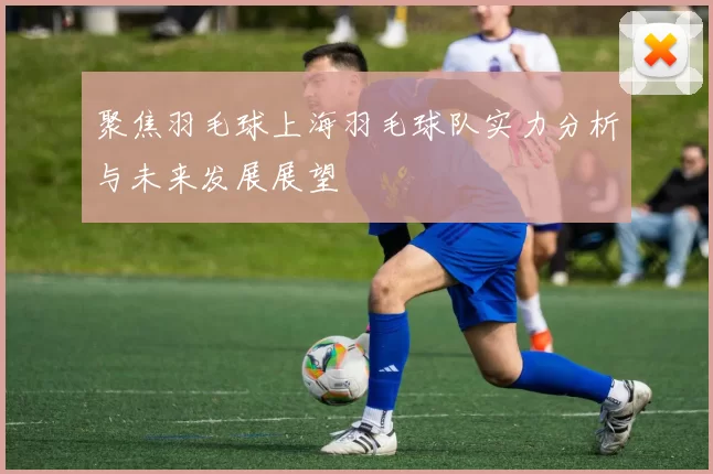 聚焦羽毛球上海羽毛球队实力分析与未来发展展望