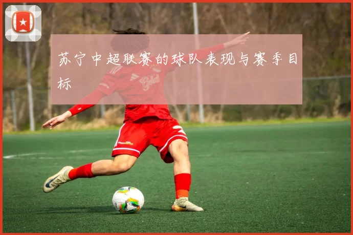 苏宁中超联赛的球队表现与赛季目标