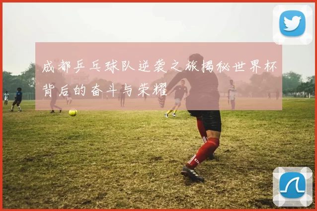 成都乒乓球队逆袭之旅揭秘世界杯背后的奋斗与荣耀