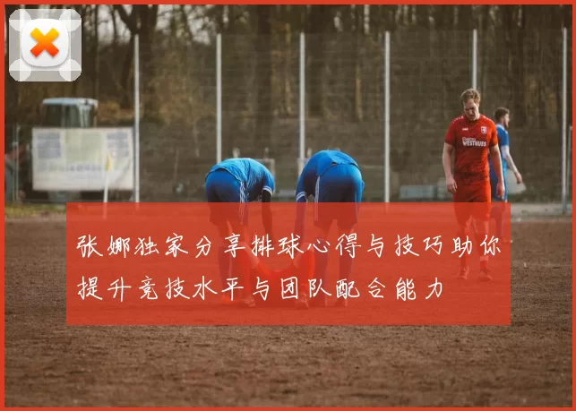 张娜独家分享排球心得与技巧助你提升竞技水平与团队配合能力