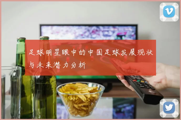 足球明星眼中的中国足球发展现状与未来潜力分析