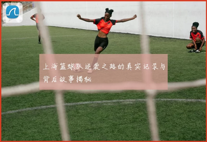 上海篮球队逆袭之路的真实记录与背后故事揭秘