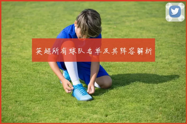 英超所有球队名单及其阵容解析