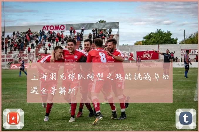 上海羽毛球队转型之路的挑战与机遇全景解析