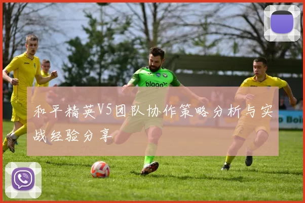 和平精英V5团队协作策略分析与实战经验分享