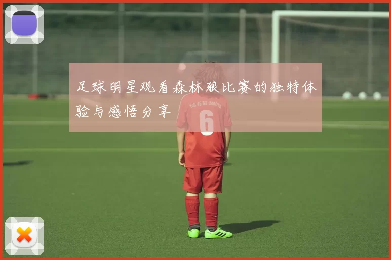 足球明星观看森林狼比赛的独特体验与感悟分享