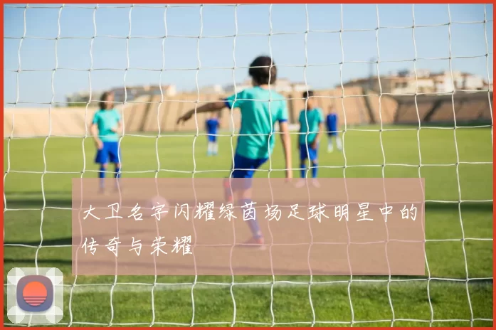 大卫名字闪耀绿茵场足球明星中的传奇与荣耀