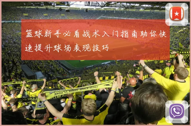 篮球新手必看战术入门指南助你快速提升球场表现技巧