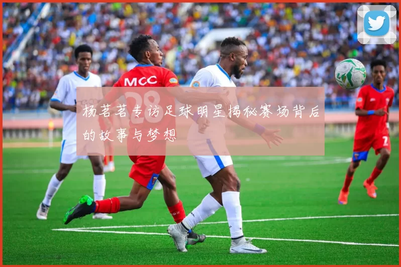 杨茗茗专访足球明星揭秘赛场背后的故事与梦想