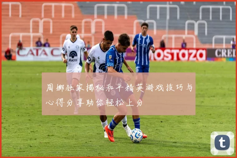 周娜独家揭秘和平精英游戏技巧与心得分享助你轻松上分