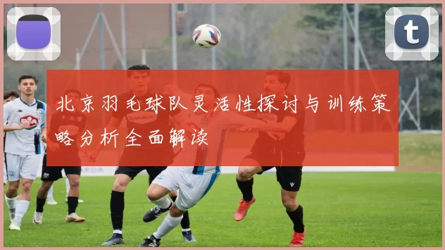 北京羽毛球队灵活性探讨与训练策略分析全面解读
