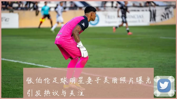张伯伦足球明星妻子美丽照片曝光引发热议与关注