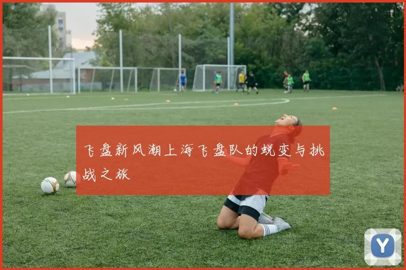 飞盘新风潮上海飞盘队的蜕变与挑战之旅