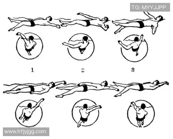 仰泳技巧与训练要点解析 掌握正确姿势提升游泳效率